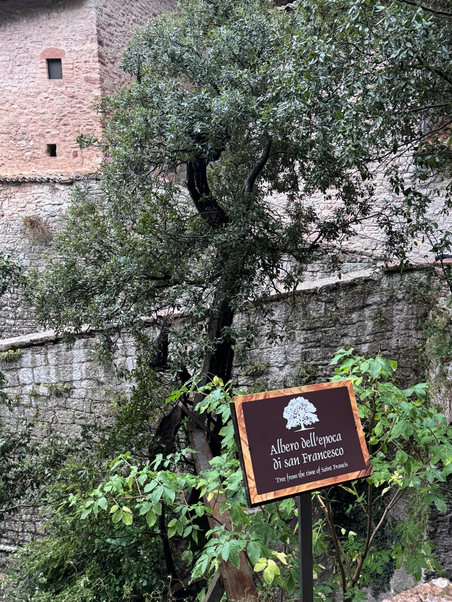 Wallfahrt Assisi