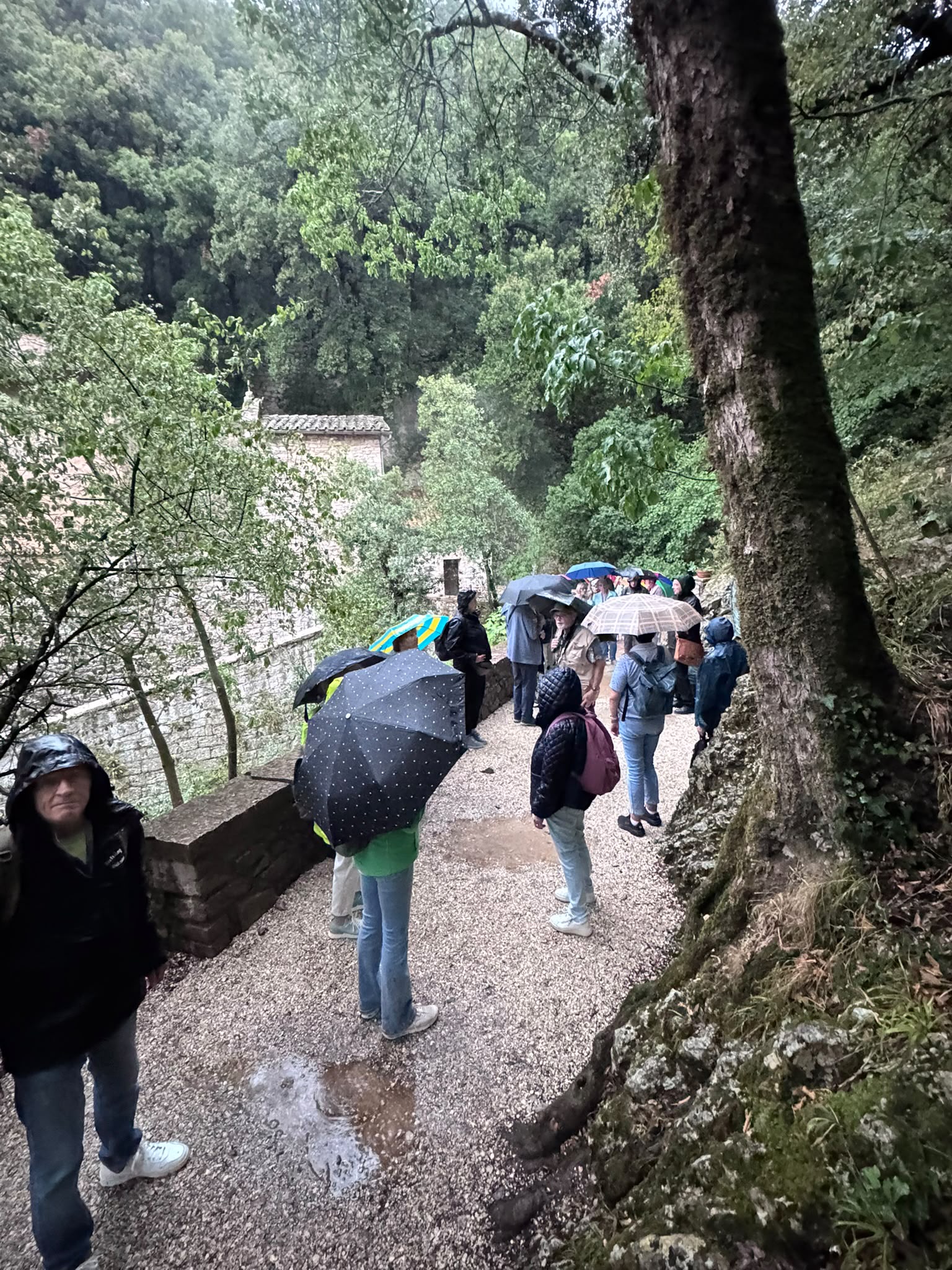 Wallfahrt Assisi